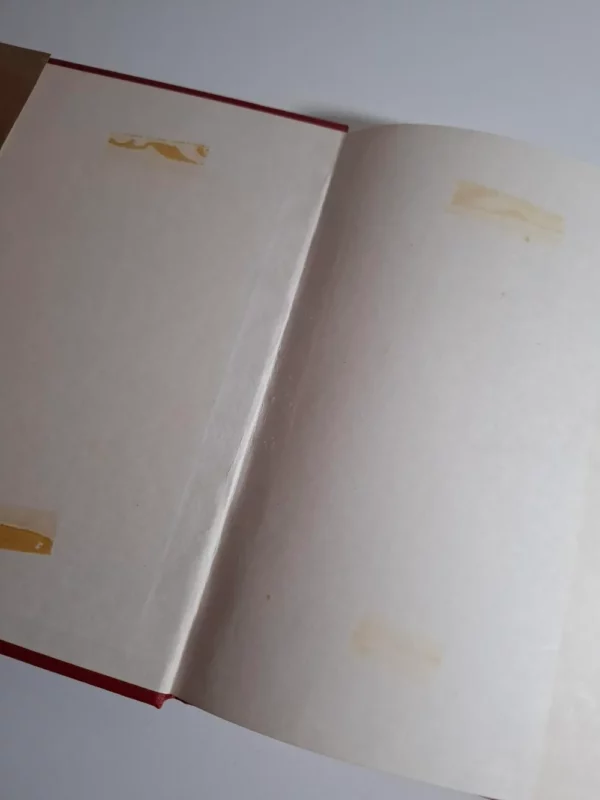 Constantin Calafateanu - ITINERAIRE PLASTIQUE - likovna monografija poznatog rumunjskog slikara - Slika 3