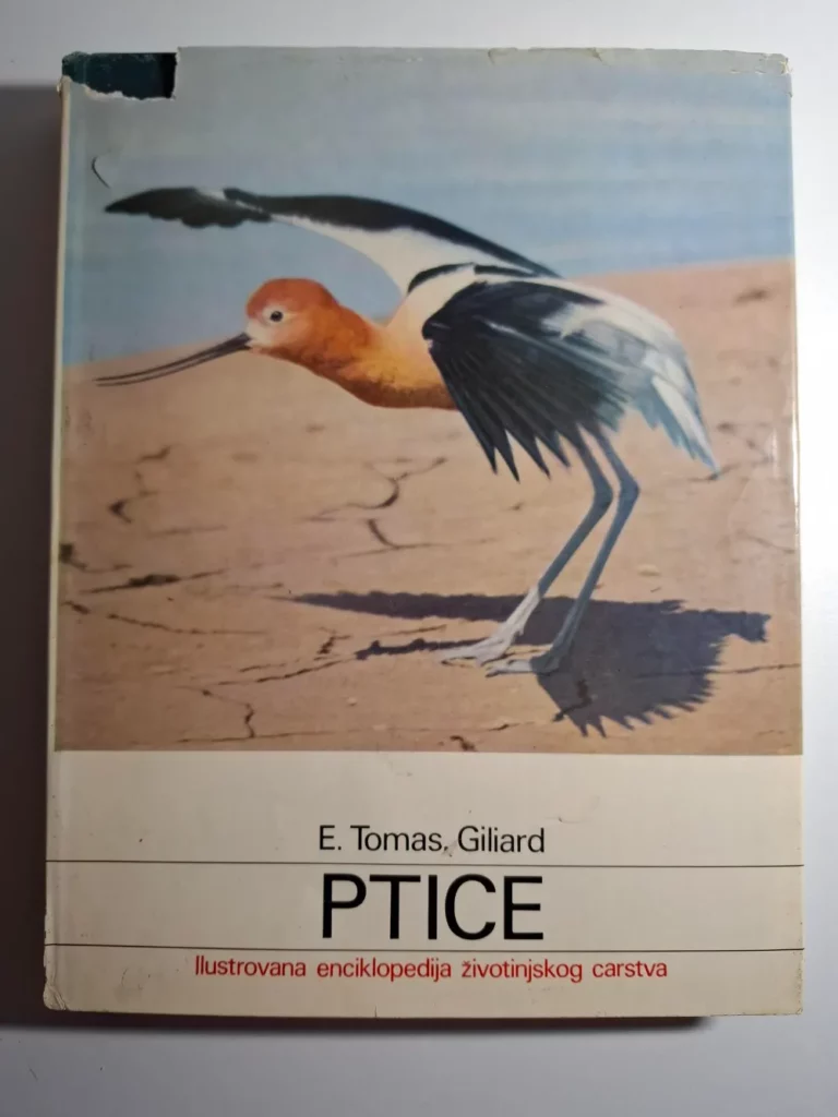 Gilliard E. Thomas PTICE: ilustrovana enciklopedija životinskog carstva (Giliard E. Tomas)