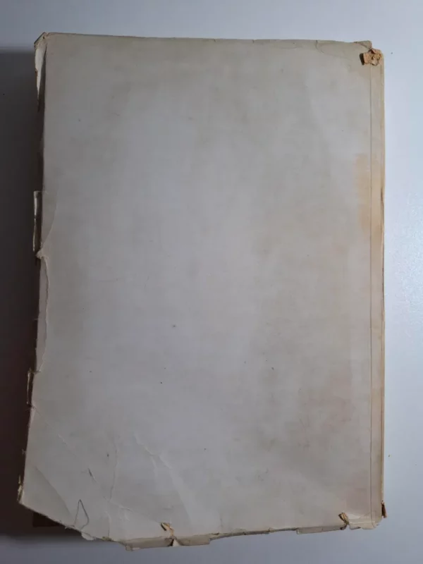 Trst - etnografski i ekonomski prikaz - Ive Mihovilović - Slika 3