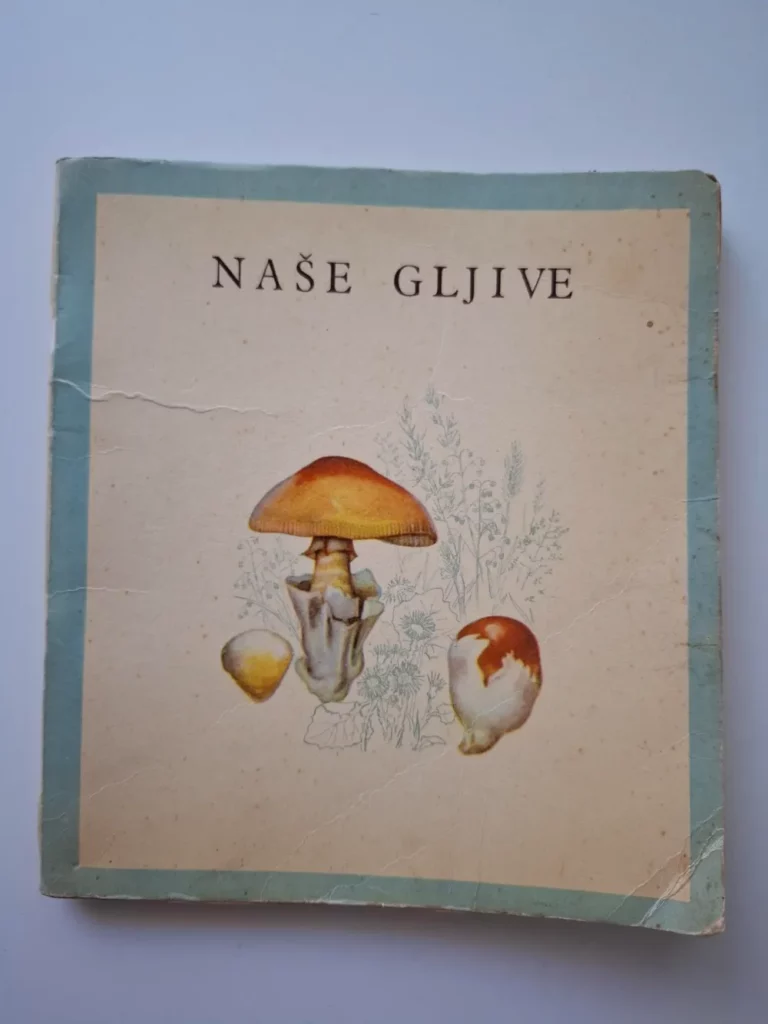 Franjo Bačić - Naše gljive