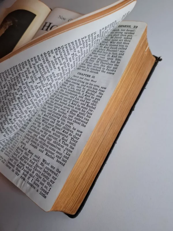 New Catholic Edition of HOLY BIBLE prijevod Vulgate , the Old Testament (Douay version) + the New Testament (Confraternity edition) - Slika 2