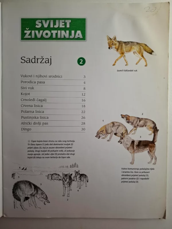 Pat Morris, Amy-Jane Beer - Svijet životinja : ilustrirana enciklopedija - Vukovi i njihovi srodnici  - Slika 2