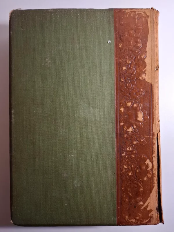 AZ EMBER - A MŰVELTSÉG KÖNYVTÁRA - 1905 (Alexander, Lenhossék) - antikvarna mađarska zdravstvena enciklopedija - Slika 6