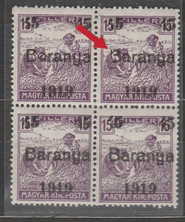 Baranya 1919 - srpska okupacija (Kraljevstvo SHS) - atraktivna greška tiska "3aranya" umjesto Baranya MNH
