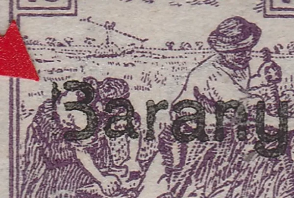 Baranya 1919 - srpska okupacija (Kraljevstvo SHS) - atraktivna greška tiska "3aranya" umjesto Baranya MNH - Slika 2