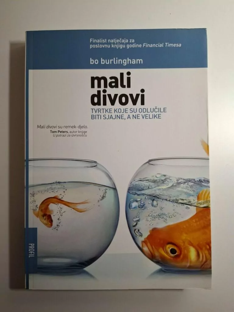 Bo Burlingham Mali divovi - kompanije koje su odlučile biti sjajne