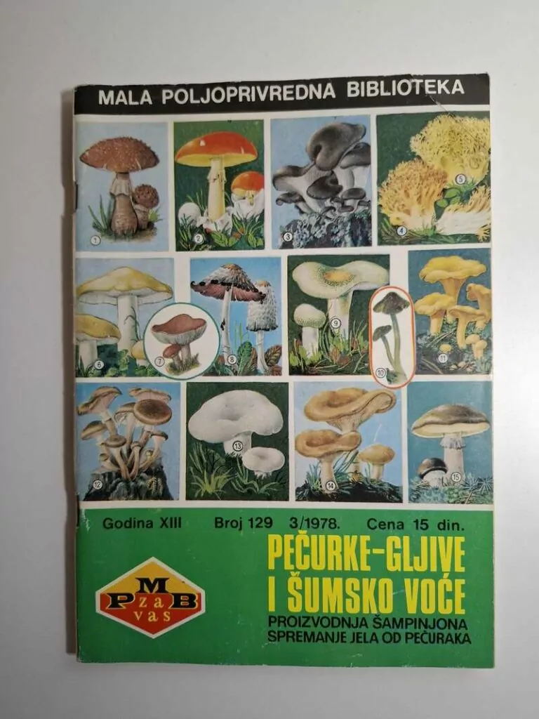 Mala poljoprivredna biblioteka - Pečurke gljive i šumsko voće , ur Milan Soldatović