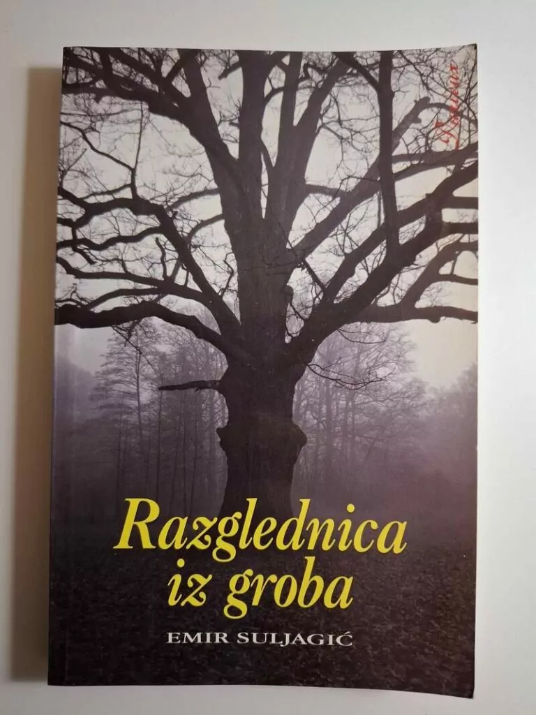 Razglednica iz groba - Emir Suljagić