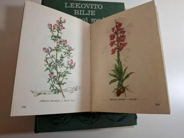 Lekovito bilje u narodnoj medicini + ilustrirani Priručnik za sakupljače bilja - Slika 3