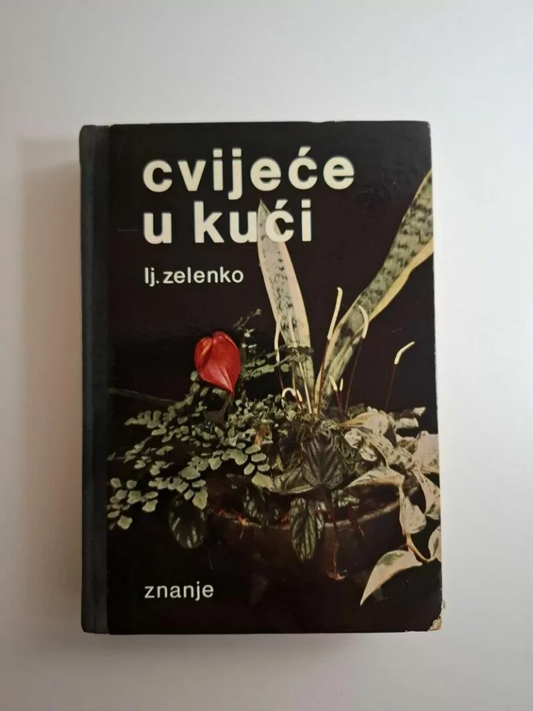 Cvijeće u kući - Ljerka Zelenko