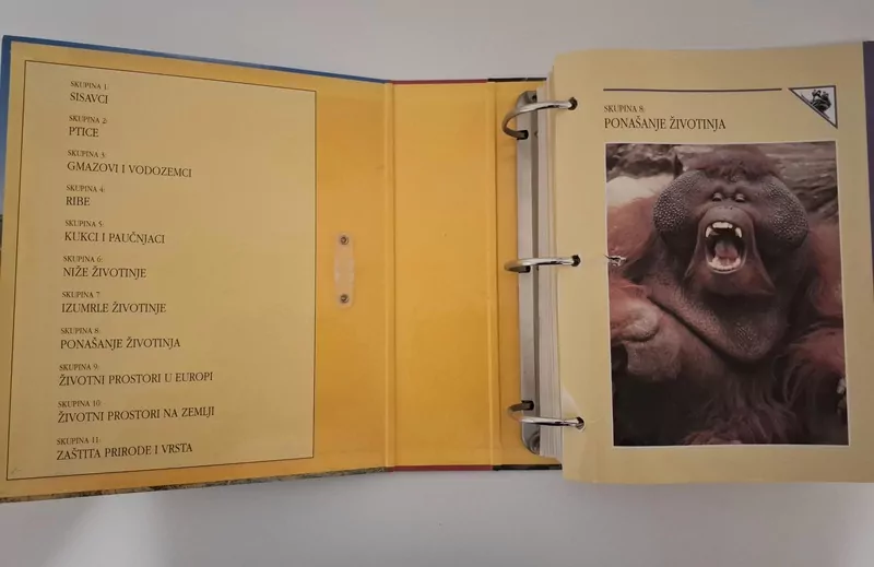 Enciklopedija životinje – zbirka kartica (International Masters Publishers) dijelovi 8-11