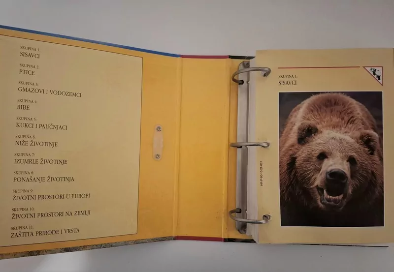 Enciklopedija životinje – zbirka kartica (International Masters Publishers) SISAVCI