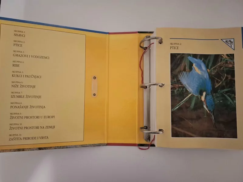 Enciklopedija životinje – zbirka kartica (International Masters Publishers) PTICE