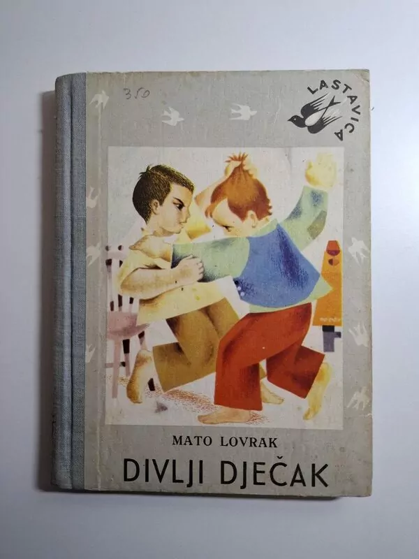 Mato Lovrak - Divlji dječak (Biblioteka Lastavica)