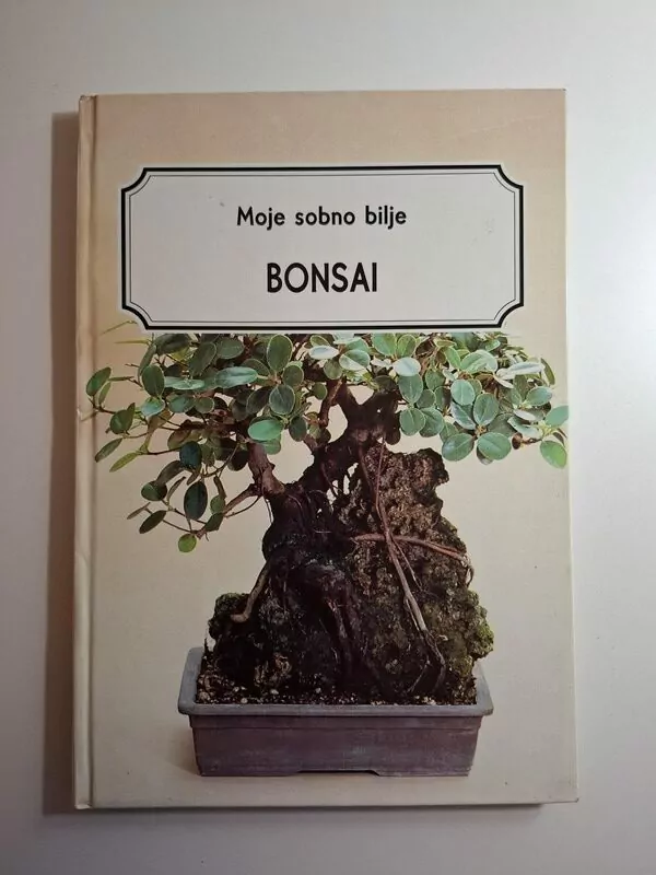 Moje sobno bilje Bonsai