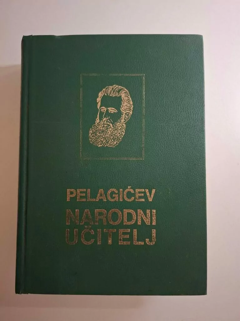 Pelagićev narodni učitelj - Vasa Pelagić