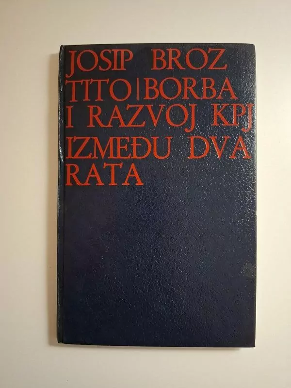 Josip Broz Tito , Borba i razvoj KPJ između dva rata