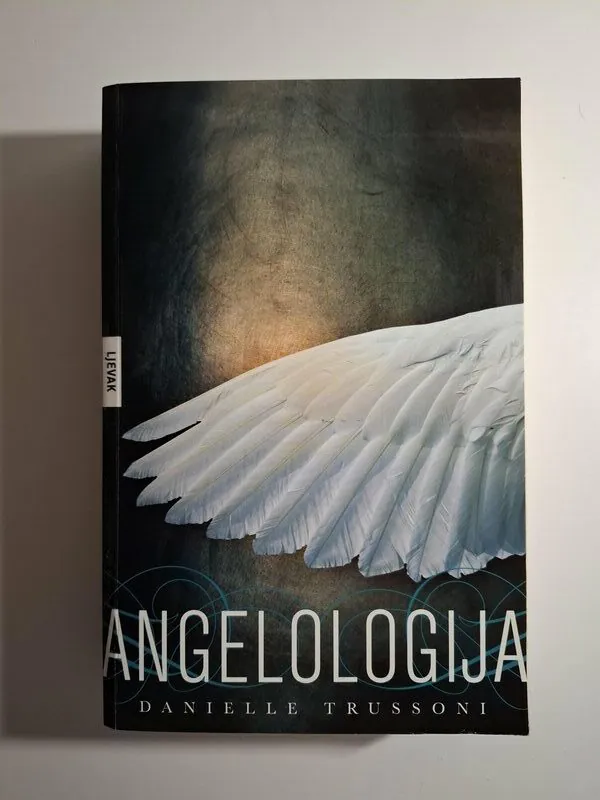 Danielle Trussoni - Angelologija