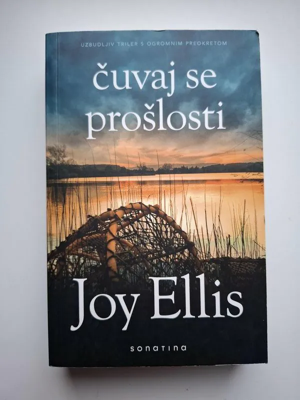 Joy Ellis - Čuvaj se prošlosti