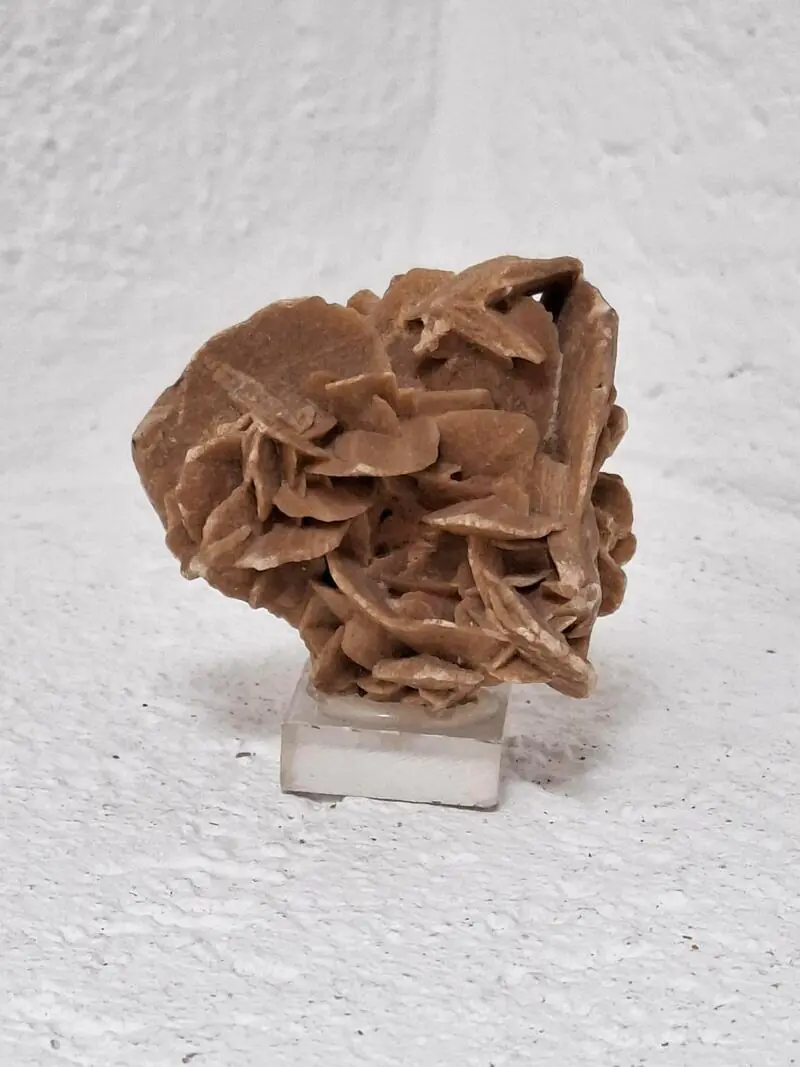 Pustinjska ruža - jedinstvena mineralna formacija , eksponat na staklenoj bazi