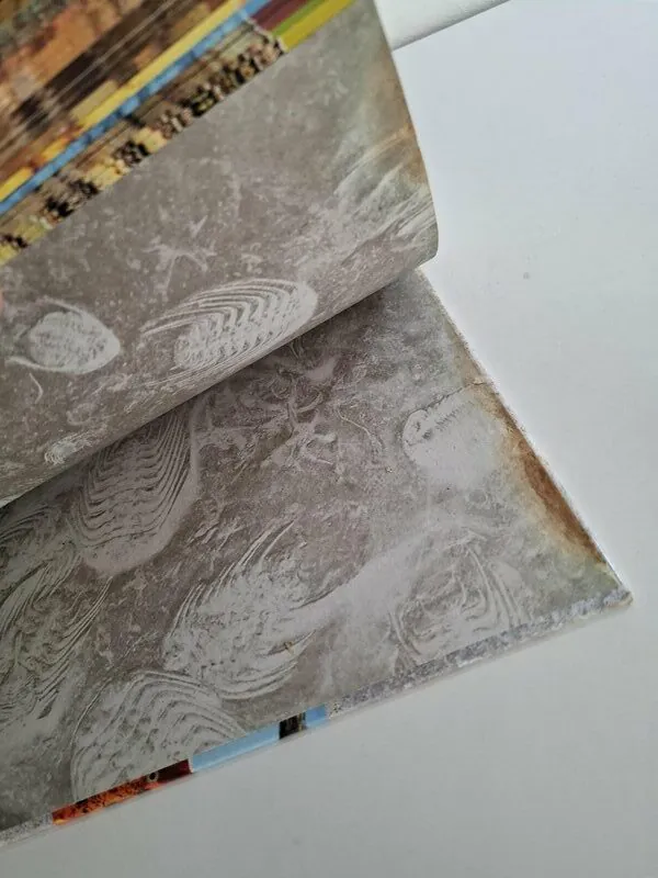 Prapovijest sveobuhvatna ilustrirana povijest života na zemlji (Mozaik knjiga masivna enciklopedija)
