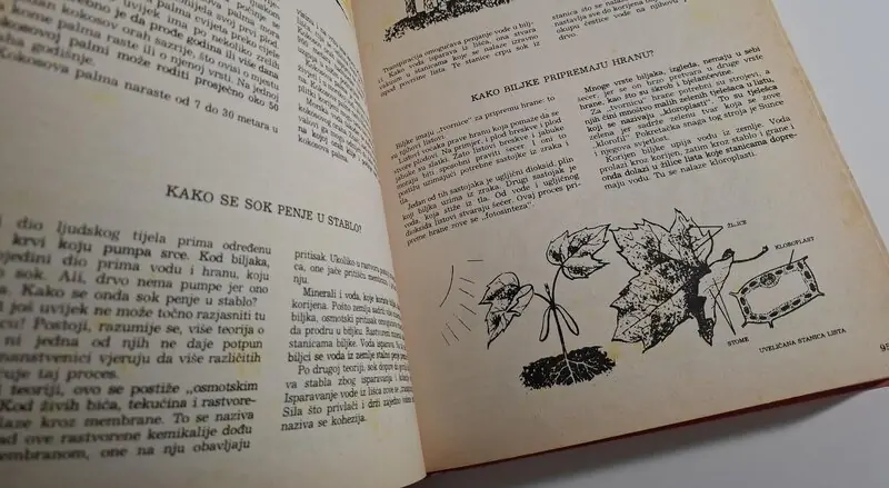 1000 zašto 1000 zato - dječja enciklopedija - Slika 2